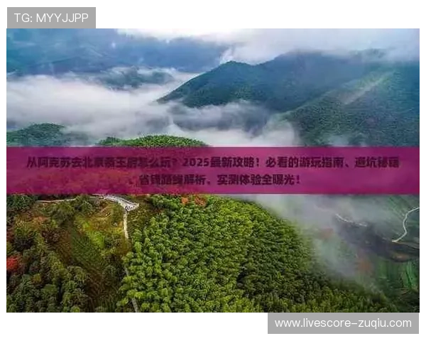 玩球体育app官方正版彩票与数字高频玩法防骗避坑指南
